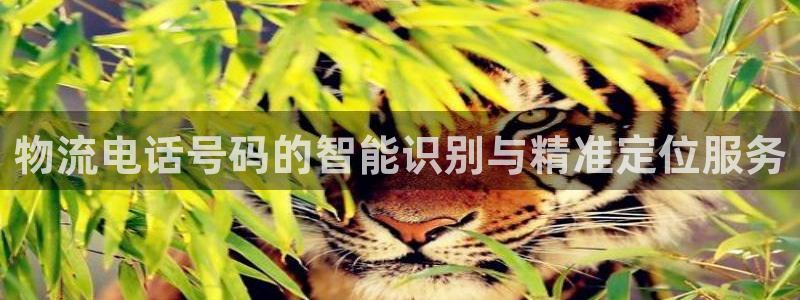 豪门国际注册登录：物流电话号码的智能