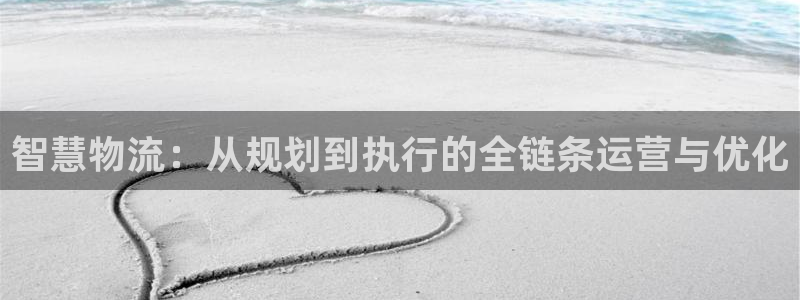 豪门国际绿骨头：智慧物流：从规划到执