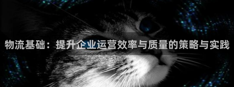豪门国际体育下载：物流基础：提升企业