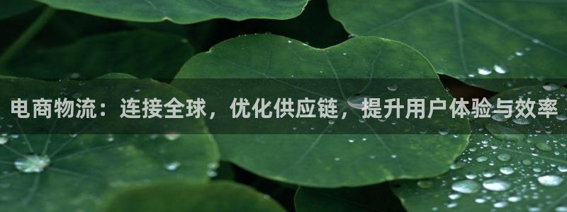豪门国际注册教程：电商物流：连接全球