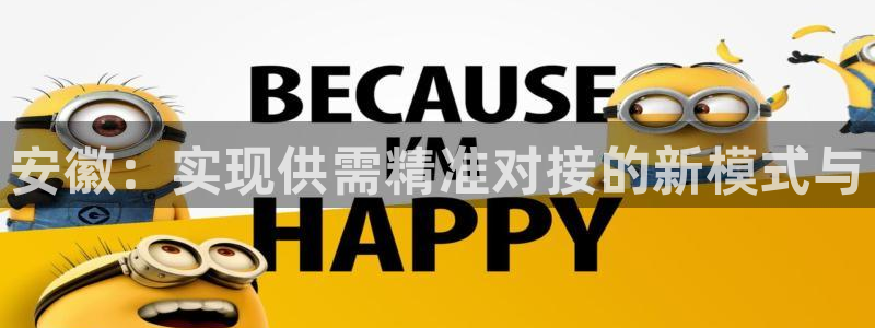 豪门国际流水怎么算：安徽：实现供需精