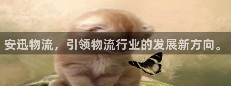 豪门国际大舞台：安迅物流，引领物流行