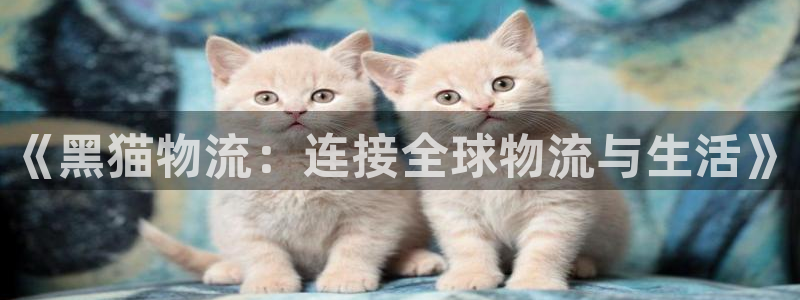 豪门国际二维码：《黑猫物流：连接全球