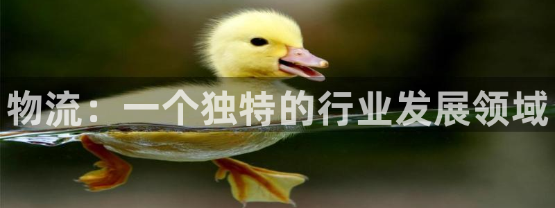 豪门国际模拟器：物流：一个独特的行业