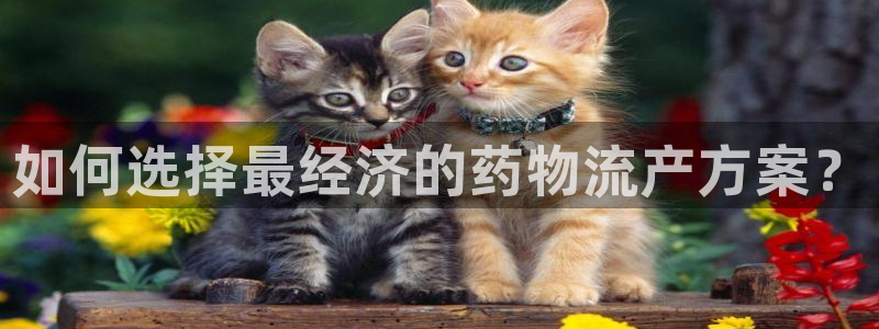 豪门国际激活码：如何选择最经济的药物