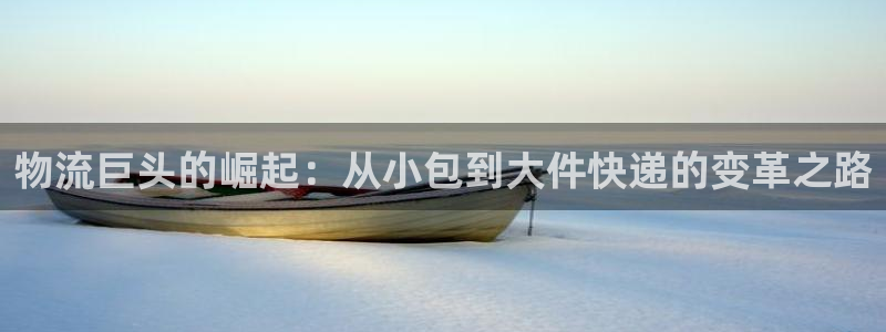 豪门国际选28ng官网：物流巨头的崛