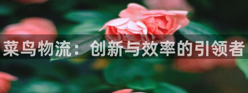 豪门国际是什么是赌博吗?：菜鸟物流：