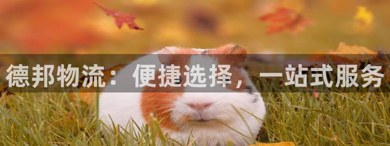 豪门国际图片：德邦物流：便捷选择，一