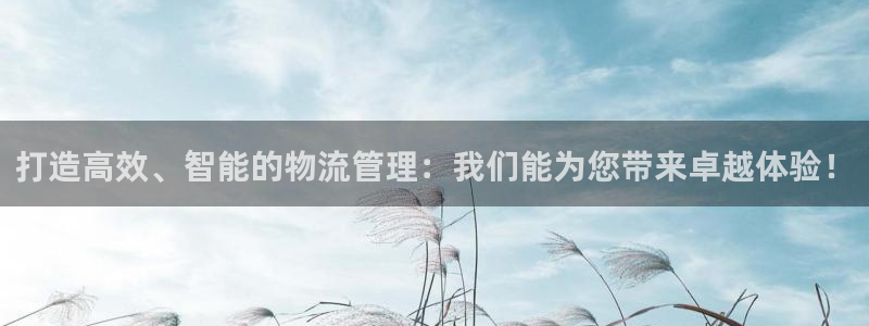 豪门国际防失联网址：打造高效、智能的