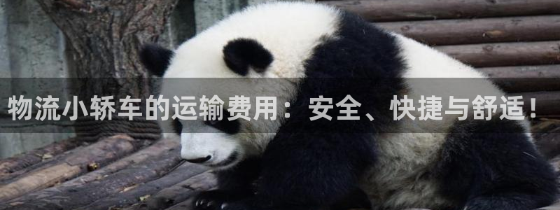 豪门国际图片：物流小轿车的运输费用：