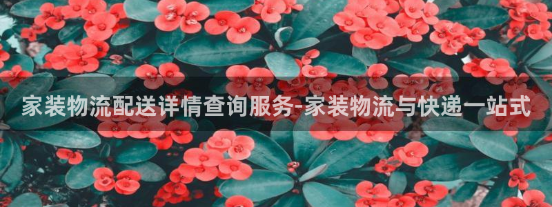 自行车豪门国际是什么意思：家装物流配送详情查询服务-家装物流