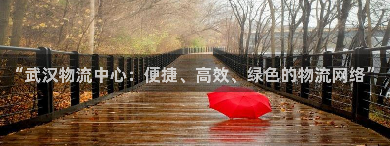 豪门国际加拿大2.8预测在线预测