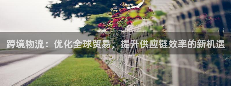 自行车豪门国际是什么意思：跨境物流：