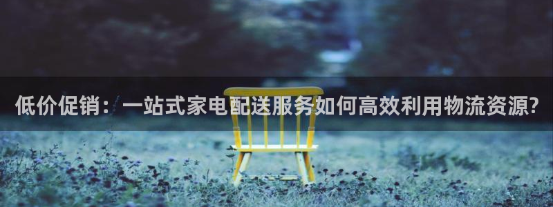 豪门国际登录：低价促销：一站式家电配送服务如何高效利用物流资