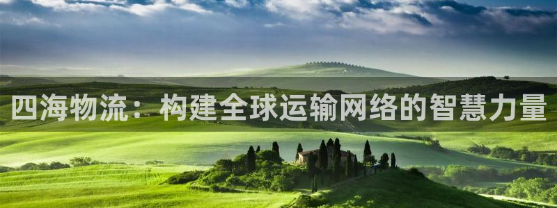 豪门国际登录网：四海物流：构建全球运