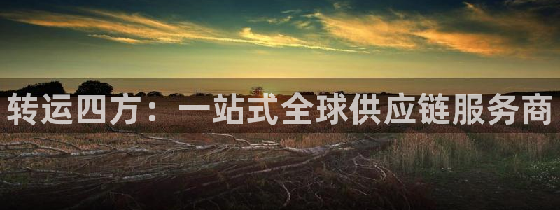 豪门国际官网平台：转运四方：一站式全