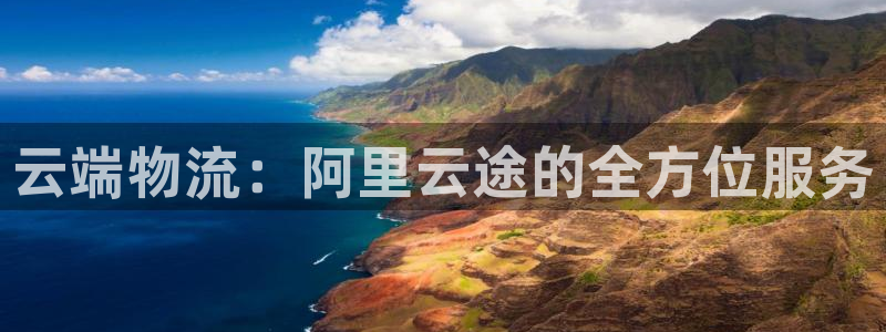 豪门国际麻将：云端物流：阿里云途的全方位服务