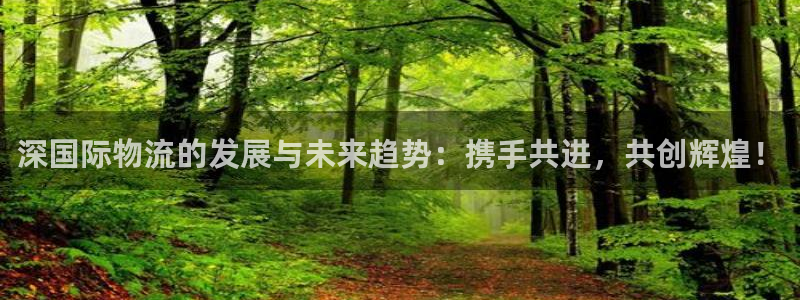豪门国际官网入口pc正版：深国际物流